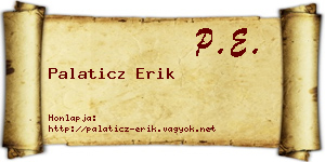 Palaticz Erik névjegykártya